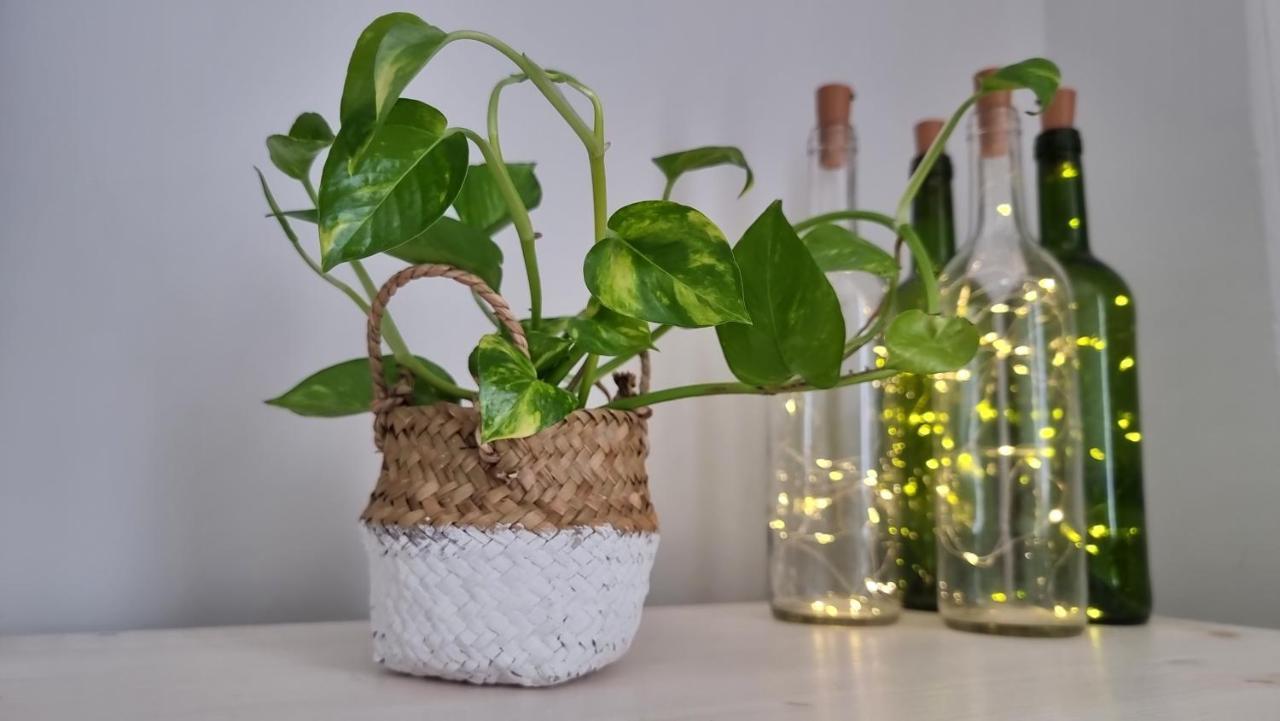 Apartamento Céntrico, Especial Familias *